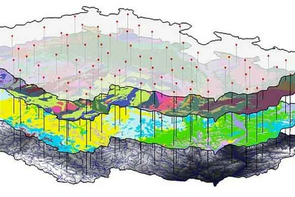 web-gis-developer-course